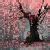 (37) + Sakura Tree Background | HD Free Download | CBEditz