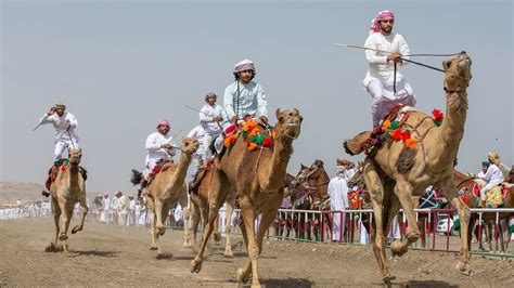 Al Marmoun Camel Festival 2018 | Grand Finale Camel Racing UAE - YouTube