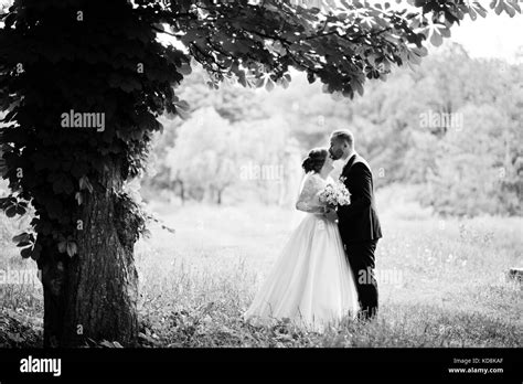 Wonderful young wedding couple posing outdoor on a gorgeous sunny spring day Stock Photo - Alamy