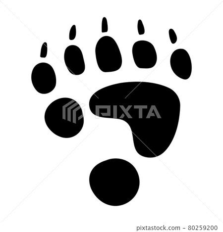 Panda footprints - Stock Illustration [80259200] - PIXTA