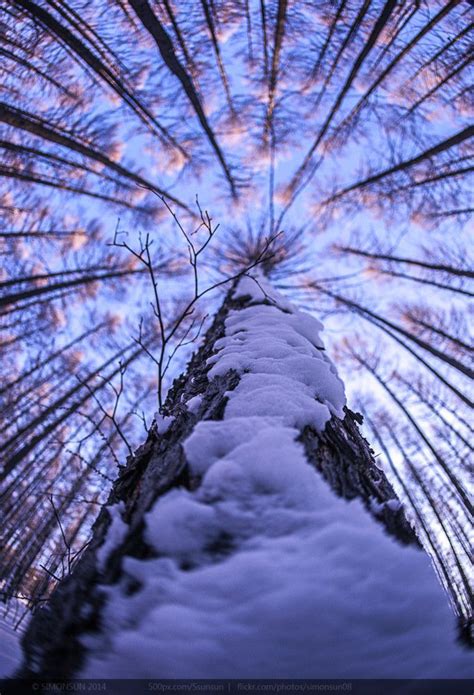 Natuur | Fotografie natuur, Inspirerende fotografie, Fotografie