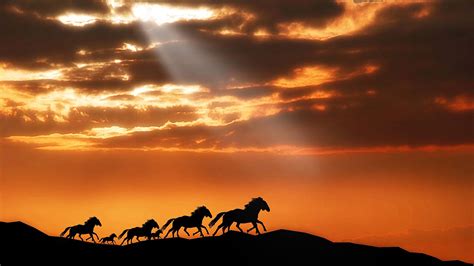 "Wild Horses Run at Sunset" : r/MostBeautiful