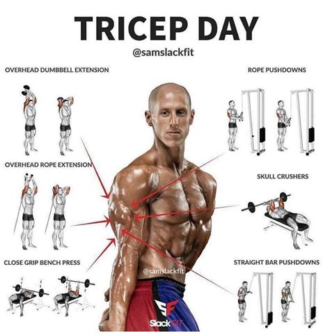 Pin on Triceps