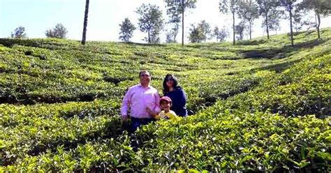 Visit Tea Plantations On A Memorable Family Trip To Kerala