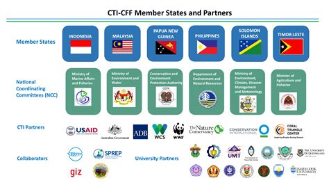 About | CTI-CFF