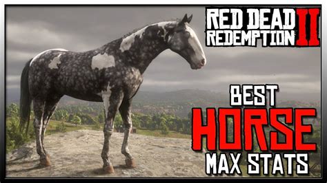 Red Dead Redemption 2 How Many Horses Can You Have - Jacob-has-Riddle