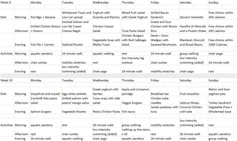 meal plan for overweight person | PrintableDietPlan.com