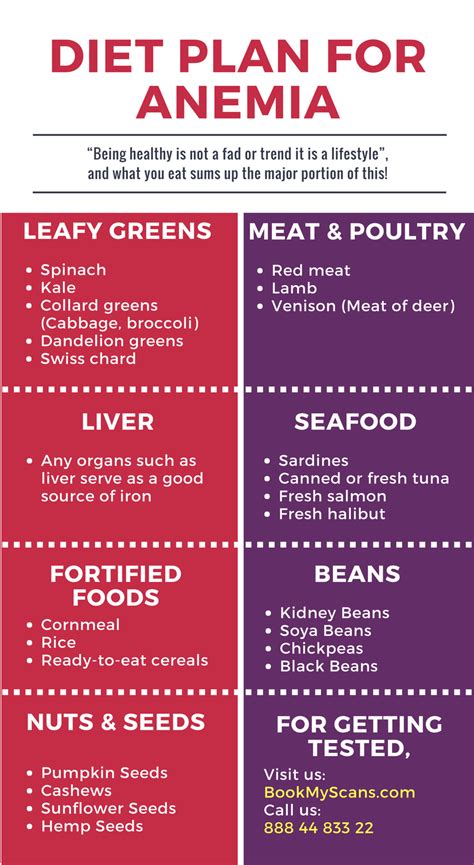 anemia diet plan - PrintableDietPlan.com