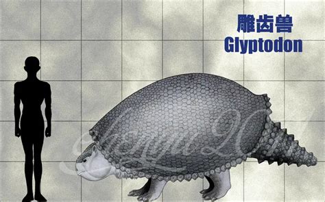 Glyptodon | Dinosaurs - Pictures and Facts