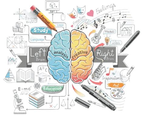 Mapa mental de educación: Los mejores ejemplos de mapas mentales para estudiantes