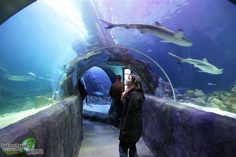 SEA LIFE Oberhausen - Highlights & Tipps zum Besuch im Aquarium