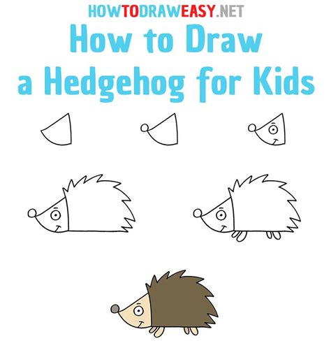 How to draw a hedgehog for kids – Artofit