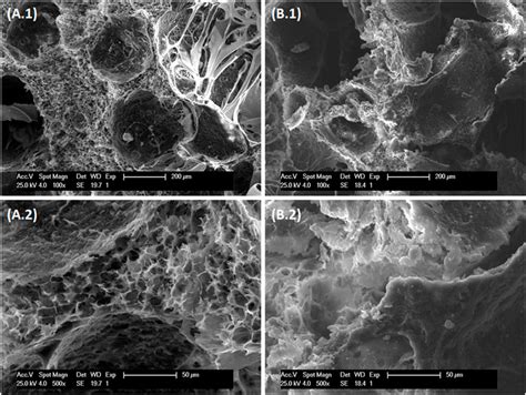 Frontiers | Chemically crosslinked hyaluronic acid-chitosan hydrogel ...