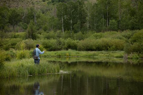 Fishing – Fishpond