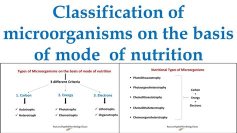 Bacteria Kingdom Classification