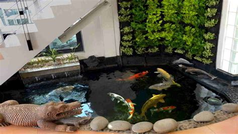 Kolam Ikan Hias dalam Rumah, Sajikan Tampilan Hunian yang Menawan