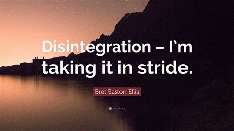 Bret Easton Ellis Quote: “Disintegration – I’m taking it in stride.”