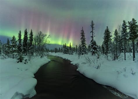 Northern lights Swedish Lapland - Australian Photography