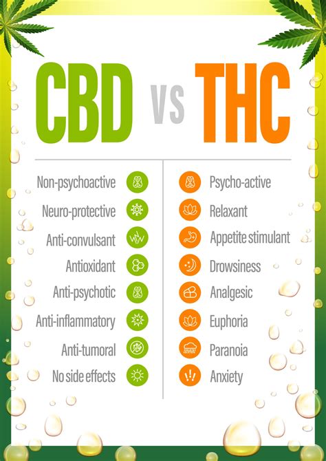 CBD vs THC, poster with comparison CBD and THC, list of differences ...