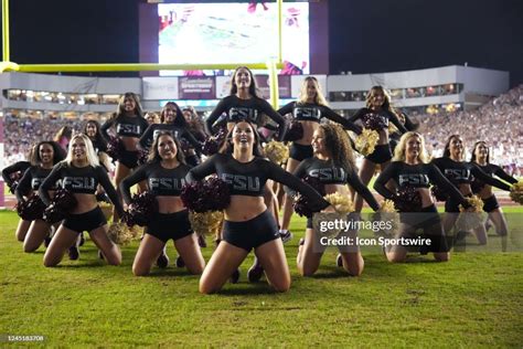 the Florida State Seminoles cheerleaders perform during the game ...