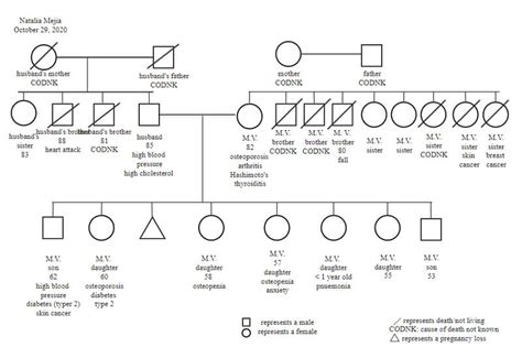 Free Editable Genogram Examples & Templates | Edraw