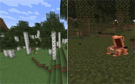 New Birch Forest and Fireflies will not be added to Minecraft 1.19 The Wild Update: Mojang confirms