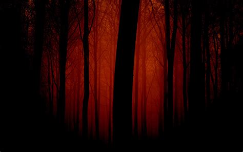 Forest Red Wallpapers - Wallpaper Cave