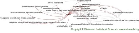 Amelia disease: Malacards - Research Articles, Drugs, Genes, Clinical Trials