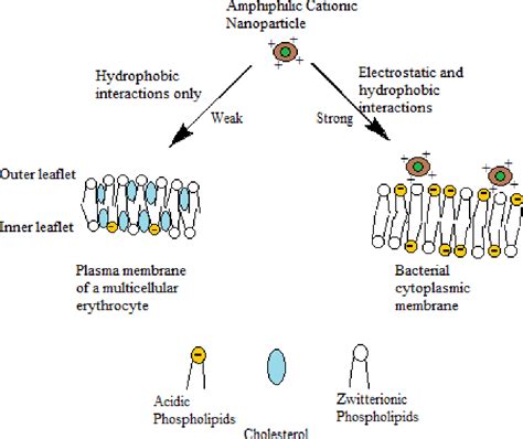 Figure 1.1 from Design, Synthesis and Applications of Polymer ...