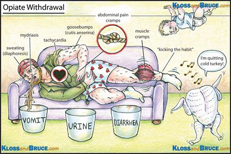 Cows Opiate Withdrawal - All About Cow Photos