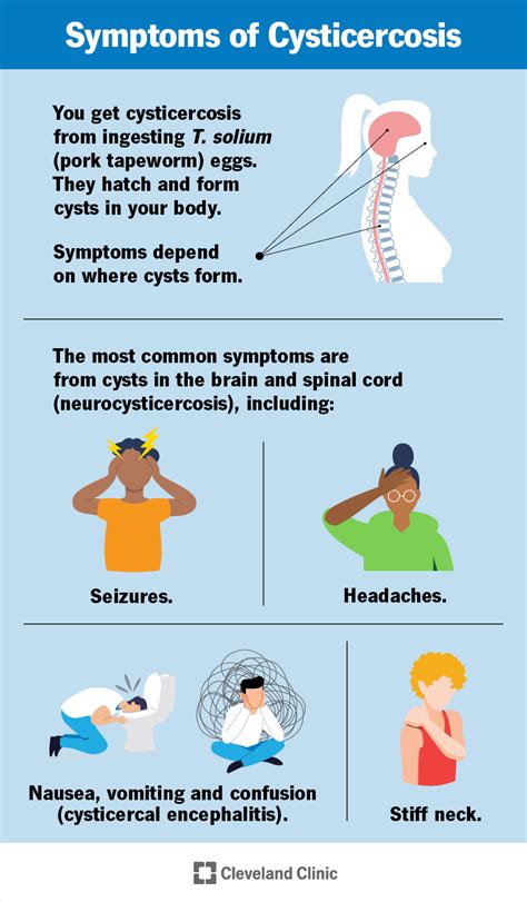 Parasites In Humans Symptoms Remedies