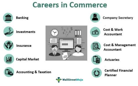 Careers in Commerce | Top 10 Careers You Must Consider!