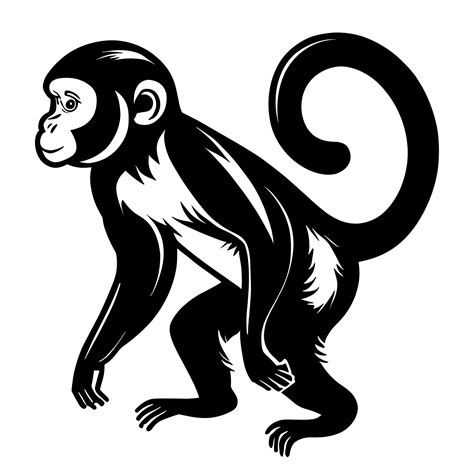 Monkey black and white icon clipart transparent background 24029990 PNG