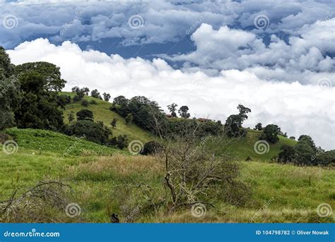 Mountain Range in Costa Rica Stock Photo - Image of america, forest ...