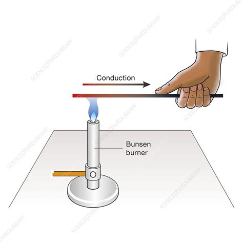 Bunsen Burner Diagram Labeled