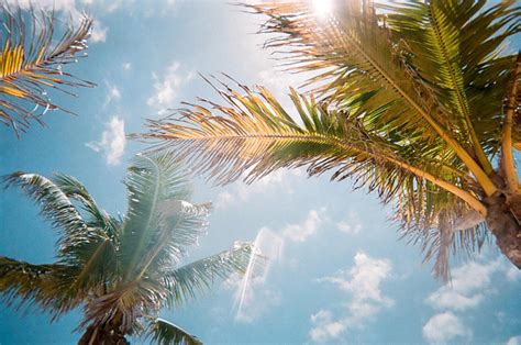 Cool things to do in Florida this Summer – FLUX MAGAZINE