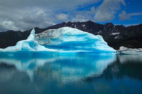 Protecting and conserving the beluga whale habitat in Alaska with Libelium’s flexible sensor ...