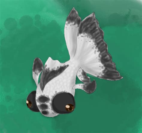 Panda Goldfish by Woop-Lan on DeviantArt