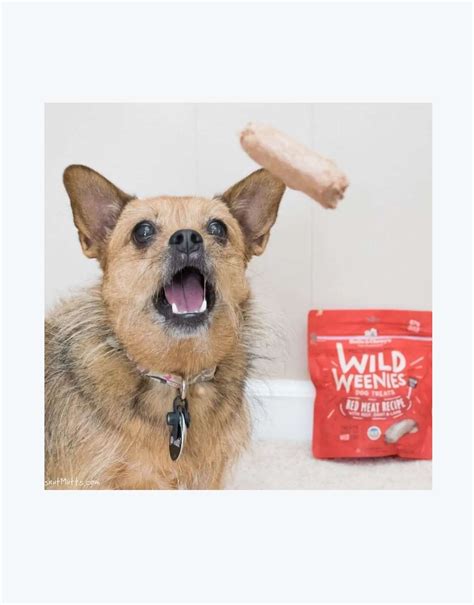 Stella & Chewy's Red Meat Wild Weenies — Groomswell