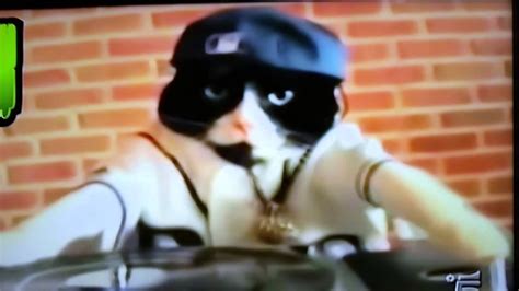 Cat DJ Meme - YouTube