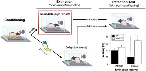 Frontiers | Unrelenting Fear Under Stress: Neural Circuits and ...