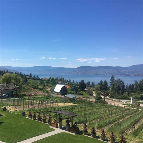 Kelowna Wine Tour - CANADIAN CRAFT TOURS