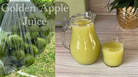 Improve the function of your immune system with this Refreshing Golden ...