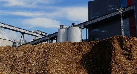 LDX Solutions Industries | Biomass & Biofuel Industry Expertise