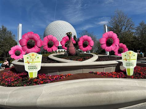 PHOTOS: All Character Topiaries at 2024 EPCOT International Flower & Garden Festival - Disney by ...