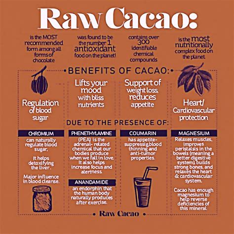 Cacao – Organic Guild Ltd.