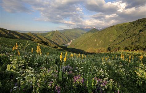 expressions-of-nature, Altai Mountains by Sergio