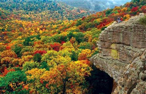 Paint with all the Colors of the Leaves in the Ozark Mountains ...