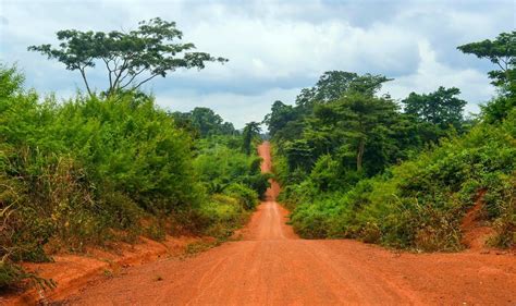 Ivory Coast | Ivory coast africa, Ivory coast, Africa