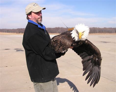 Tracking bald eagle movements throughout the Chesapeake and beyond - The Center for Conservation ...